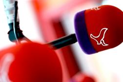 Radio Omroep Flevoland Radio Omroep Flevoland