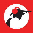 Pinguin Radio Pinguin Radio